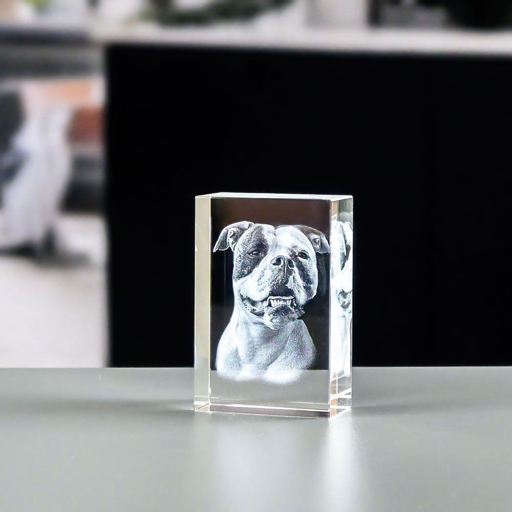 Rektangulär glasblock 3x6x9 cm med 3D-lasergraverad hund